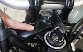 TRIUMPH SCRAMBLER 900 2023