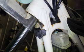 OTHER +ｼｪﾙｺST250 2026