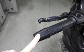 BENELLI TRK251