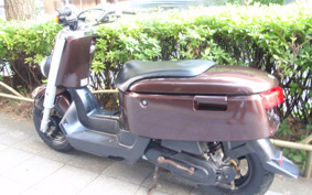 YAMAHA VOX Deluxe SA31J