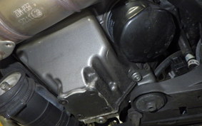 DUCATI DIAVEL Carbon 2012