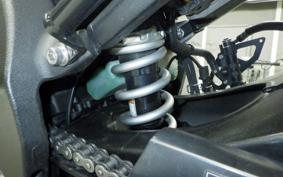 YAMAHA FZ1 FAZER 2010 RN21J