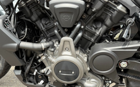 HARLEY  HARLEY RH975 NIGHT  STAR  2022 ZH1