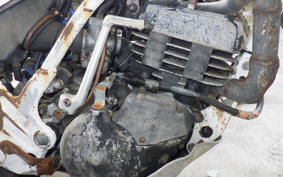 HONDA TLM200R MD15