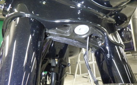 HARLEY FLHXST1920 2022