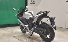 YAMAHA YZF-R25 1994 RG43J