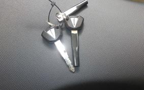 KAWASAKI NINJA 1000 SX 2024 ZXT02K