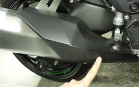 KAWASAKI NINJA 1000SX 2024 ZXT02K
