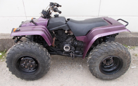 YAMAHA BIGBEA-4X4 3HN