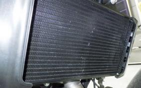 HUSQVARNA SVARTPILEN 401 2024