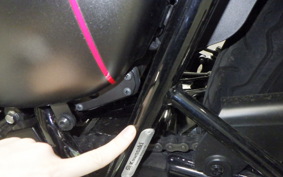 KAWASAKI W800 STREET 2022 EJ800E