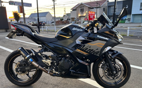 KAWASAKI NINJA 400 2020 EX400G