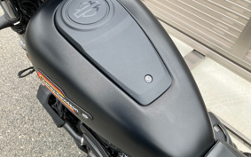 HARLEY RH975S NIGHT STAR 2023 ZF1