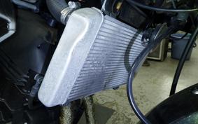 KAWASAKI NINJA 250R 2021 EX250K