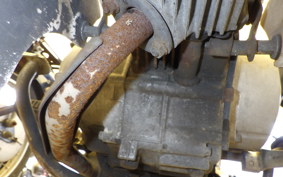 HONDA CHALY 50 CF50