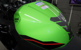 KAWASAKI NINJA 250 2020 EX250P