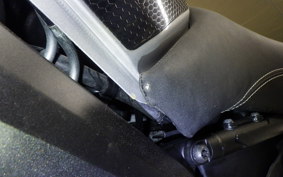 YAMAHA MT-09 ASP 2019 RN52J