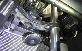 KAWASAKI NINJA 250 EX250L