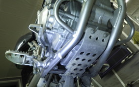 KAWASAKI KLX250 Gen.2