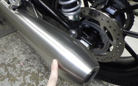 TRIUMPH SPEED TWIN 900 2024