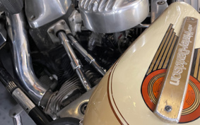HARLEY FLH80 CLASSIC 1981 410