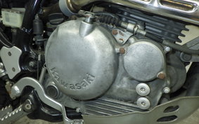 KAWASAKI SUPER SHERPA 2023 KL250G