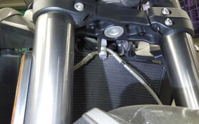 TRIUMPH STREET TRIPLE RS 2019