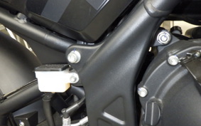 OTHER +ﾌﾞﾘｸｽﾄﾝ500 2023