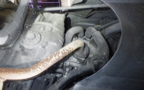 YAMAHA VOX 2019 SA31J