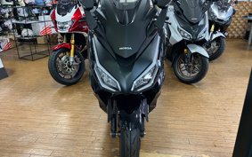 HONDA  FORZA 250 MF17