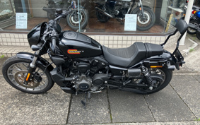 HARLEY RH975 NIGHT STAR 2024 ZF1