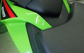 KAWASAKI NINJA ZX-6R A 2023 ZX636G