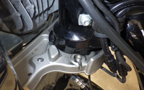 HARLEY FLFBS1860 2022