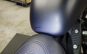 HARLEY XL883N 2019