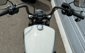 HARLEY  HARLEY FXBBS 2021 YYK