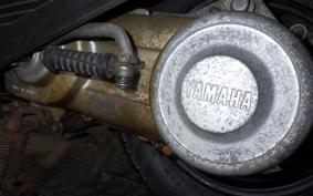 YAMAHA BELUGA 50 5G6