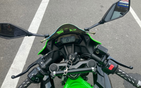 KAWASAKI Ninja 250SL BX250A