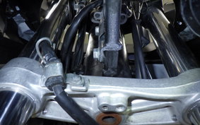 SUZUKI Vｽﾄﾛｰﾑ650XTA 2019 C733A