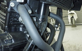 SUZUKI V-STROM 250 2025