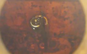 YAMAHA VMAX 1999 2WE