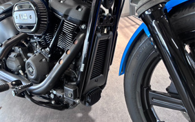 HARLEY FXBBS 2022 YYK