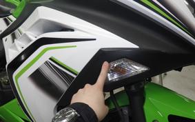 KAWASAKI NINJA 250 2009 EX250L