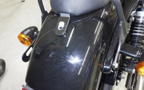 HARLEY XL1200XS 2019