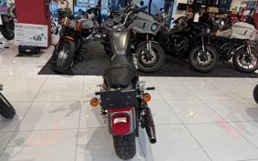 HARLEY XL1200R 2008 CV3