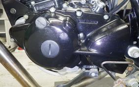 YAMAHA TW225 2022 DG09J