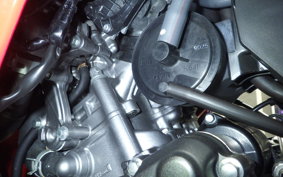 HONDA CBR250RR A 2024 MC51