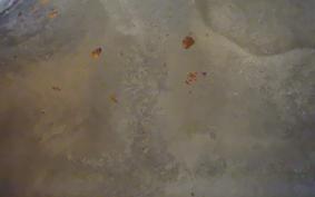 KAWASAKI KLE250 LE250A