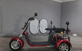 OTHER DENDOU TRIKE  ..