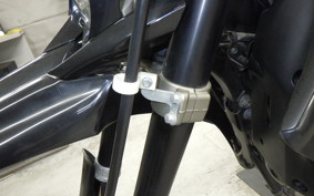 YAMAHA WR250X 2020 DG15J