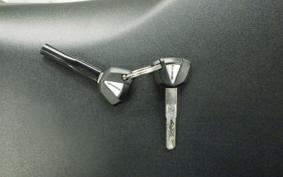 KAWASAKI ZX-4RR 2024 ZX400P